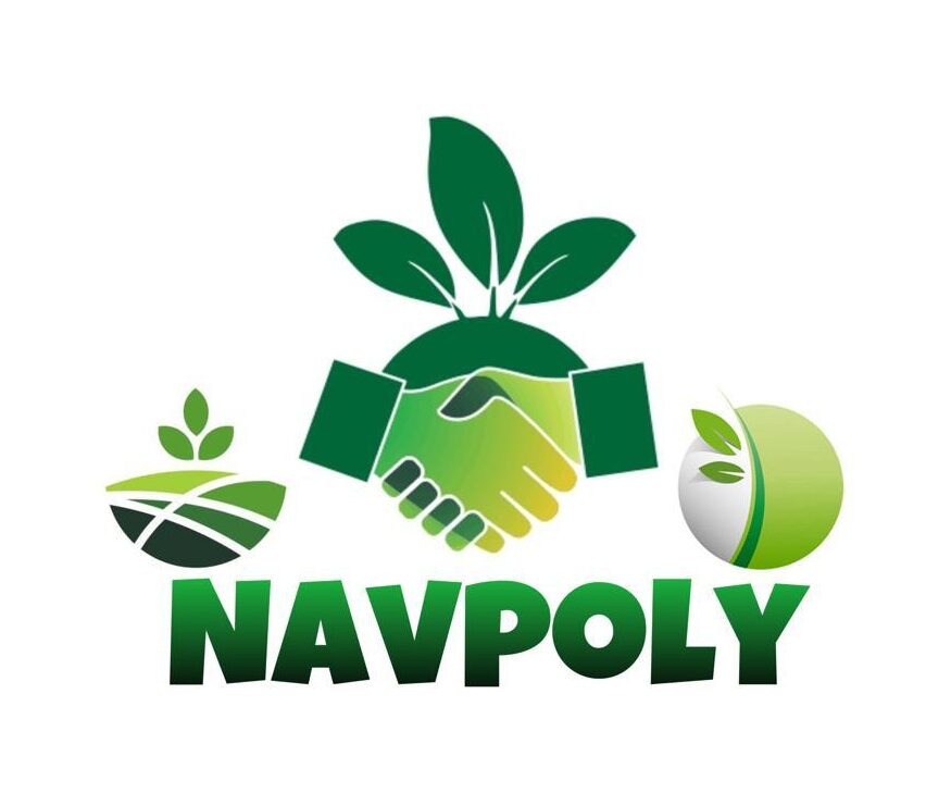 navpoly logo